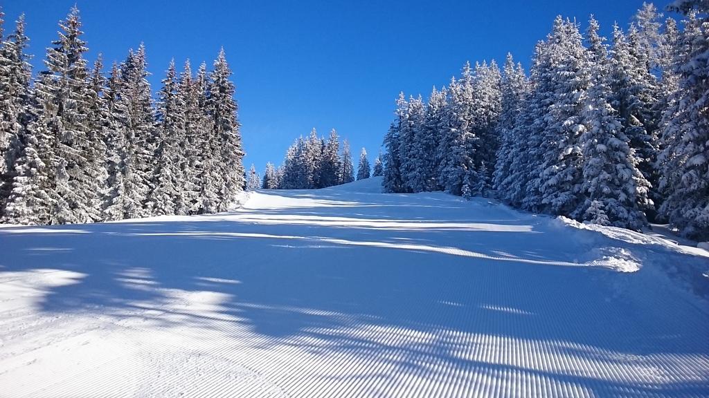 Appartmenthaus Hochkoenig Mühlbach am Hochkönig Eksteriør bilde