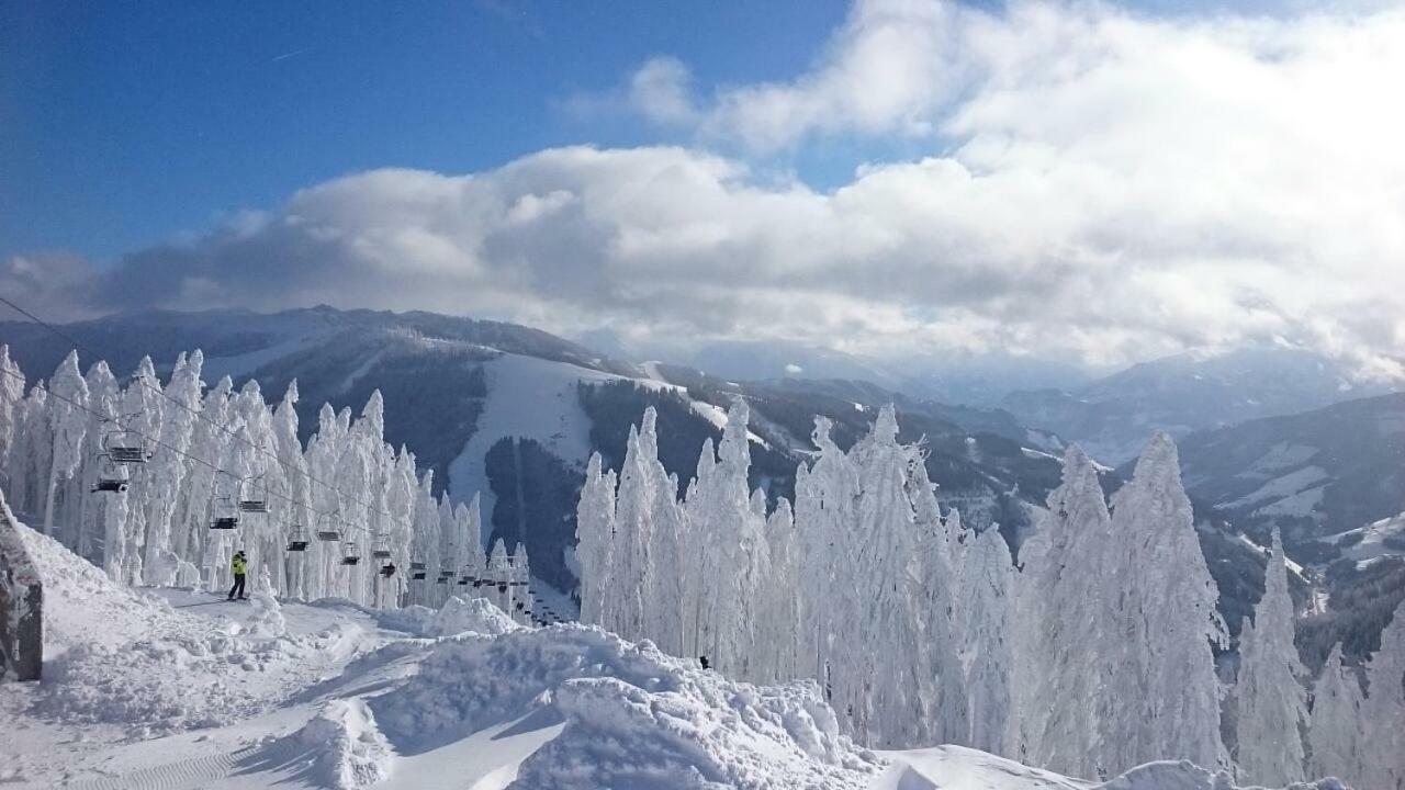 Appartmenthaus Hochkoenig Mühlbach am Hochkönig Eksteriør bilde
