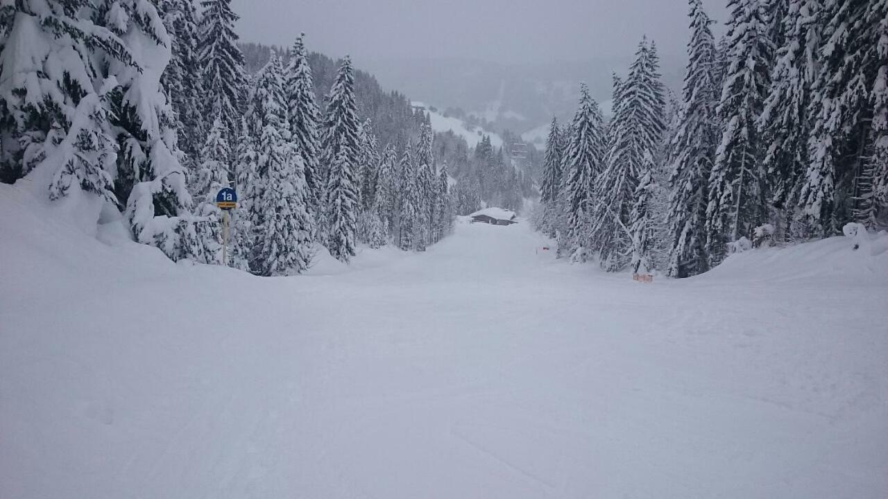 Appartmenthaus Hochkoenig Mühlbach am Hochkönig Eksteriør bilde